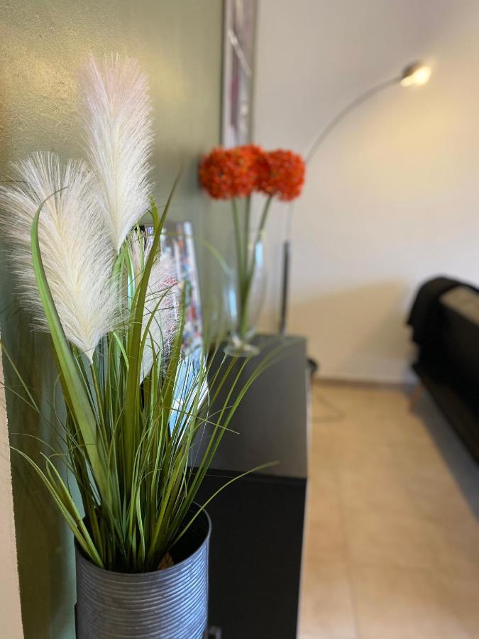 Appartements Vue Mer Saint-Florent  Bagian luar foto